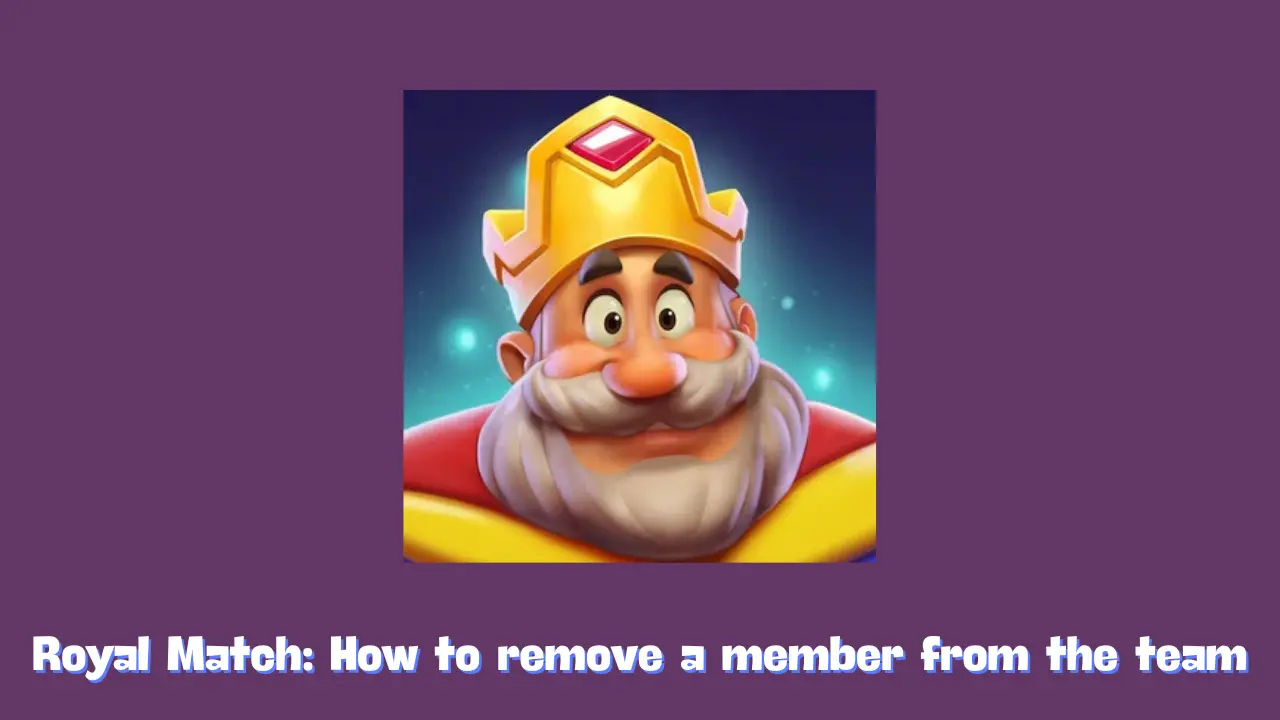 How to remove a member from the team