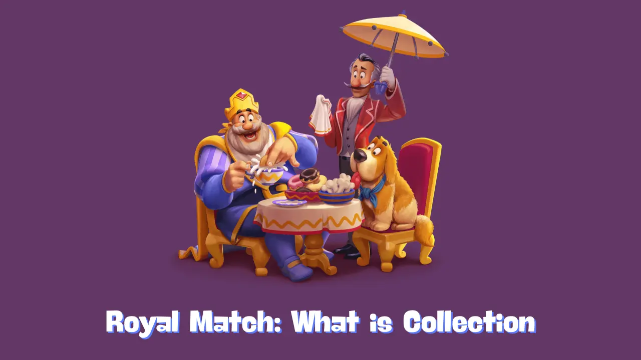 What is Collection